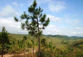 Mountain Pine Ridge Mountain Preserve, Belize – Best Places In The World To Retire – International Living